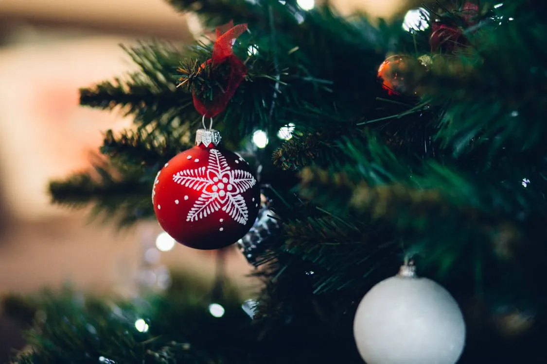 Keep Waco Beautiful hosts Christmas tree recycling event | kcentv.com