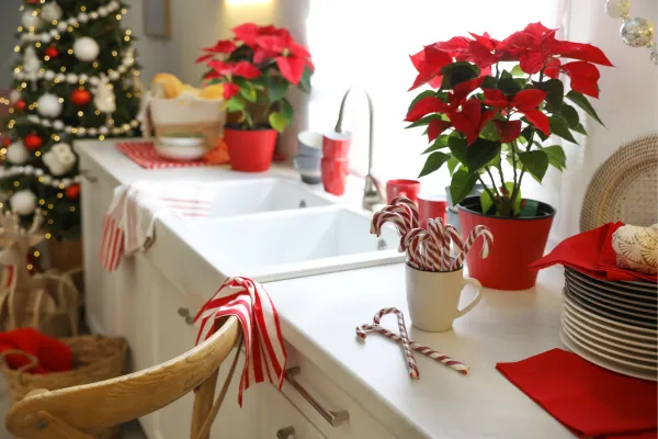 Kitchen Deep Cleaning: A Holiday Survival Guide (Updated) | FreshSpace