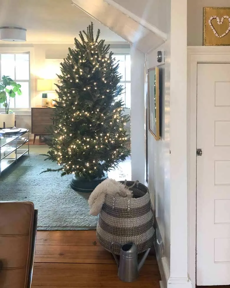 Krinner Tree Genie: A Life-Changing Christmas Tree Stand - Umami Girl
