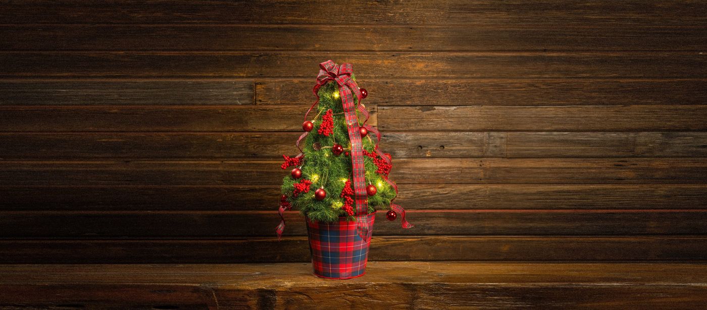 Living Christmas Trees – Lynch Creek Farm