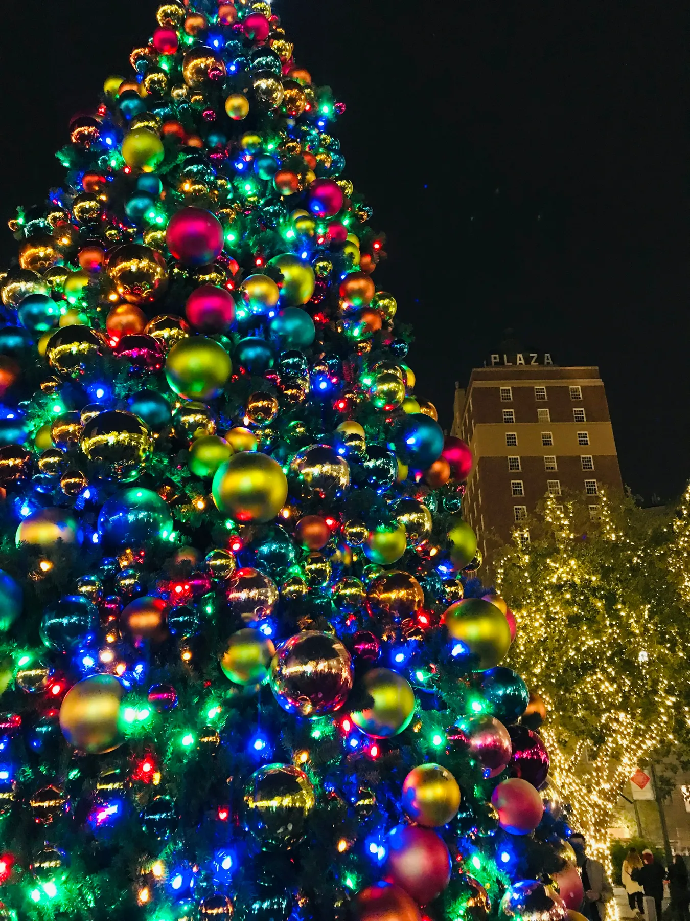 Low angle photo of Christmas tree - Free Photo on Unsplash
