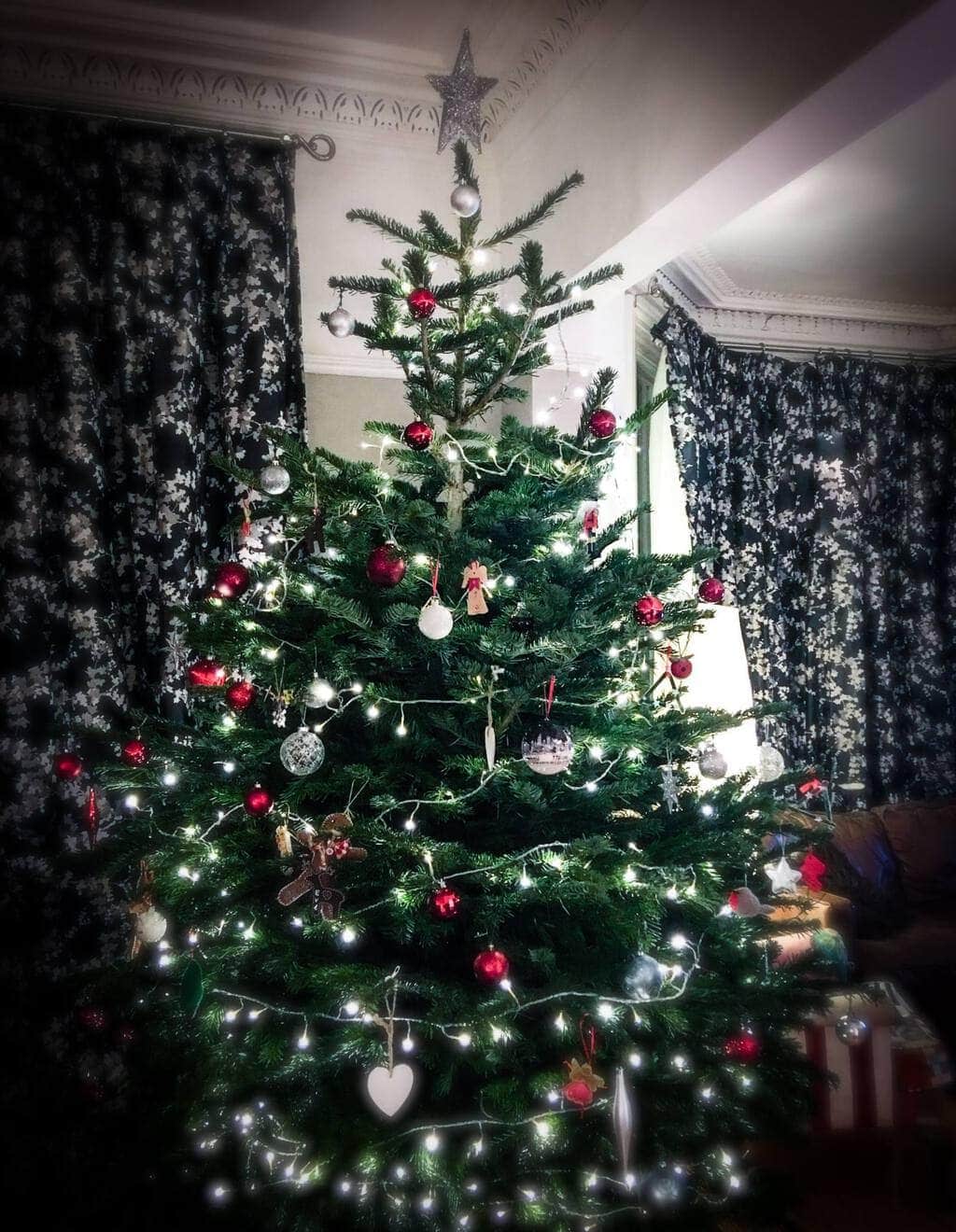Oh Christmas Tree, Oh Christmas Tree.... - Mini Travellers - Family Travel  & Family Holiday Tips