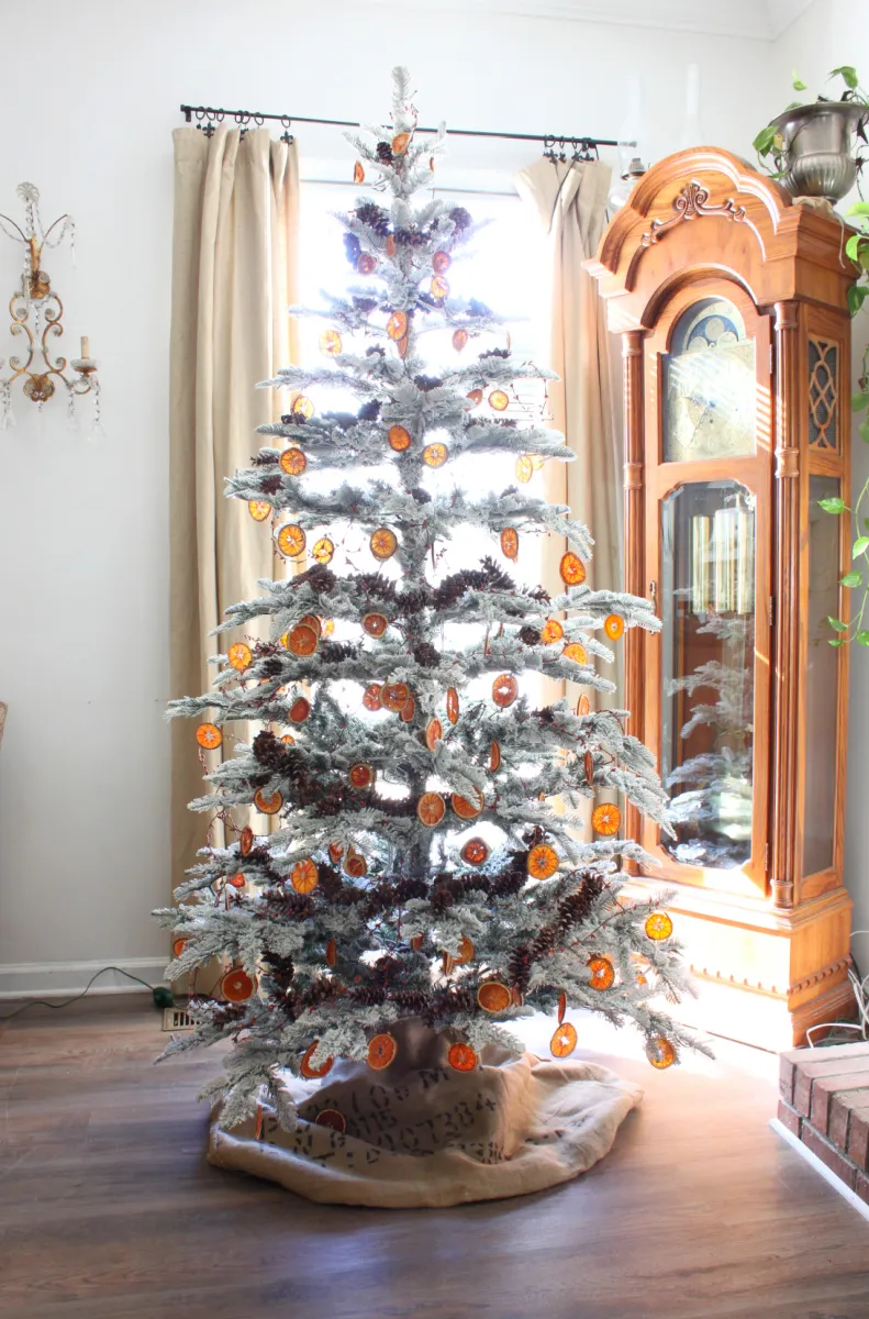 Orange Slice Christmas Ornaments YIMWNYI Orange Slices Decorations, Dried Orange Garland, Eco-Friendly Christmas Ornament, Versatile