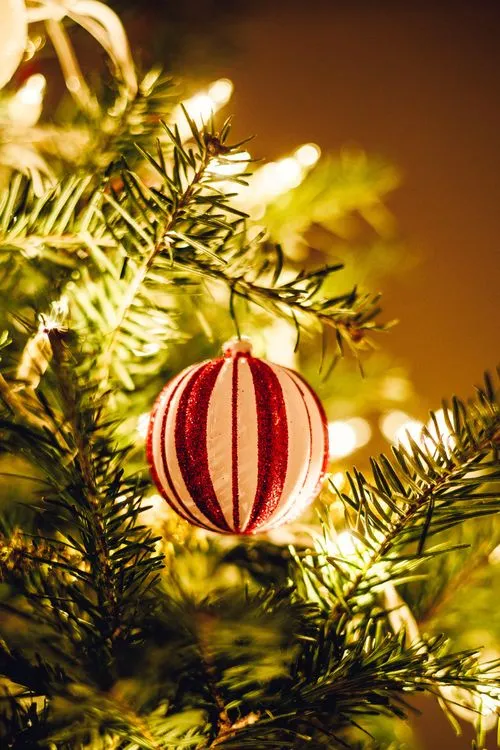 Ornament on Christmas Tree · Free Stock Photo