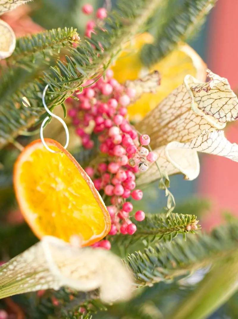 Outdoor Holiday Decorating Ideas
