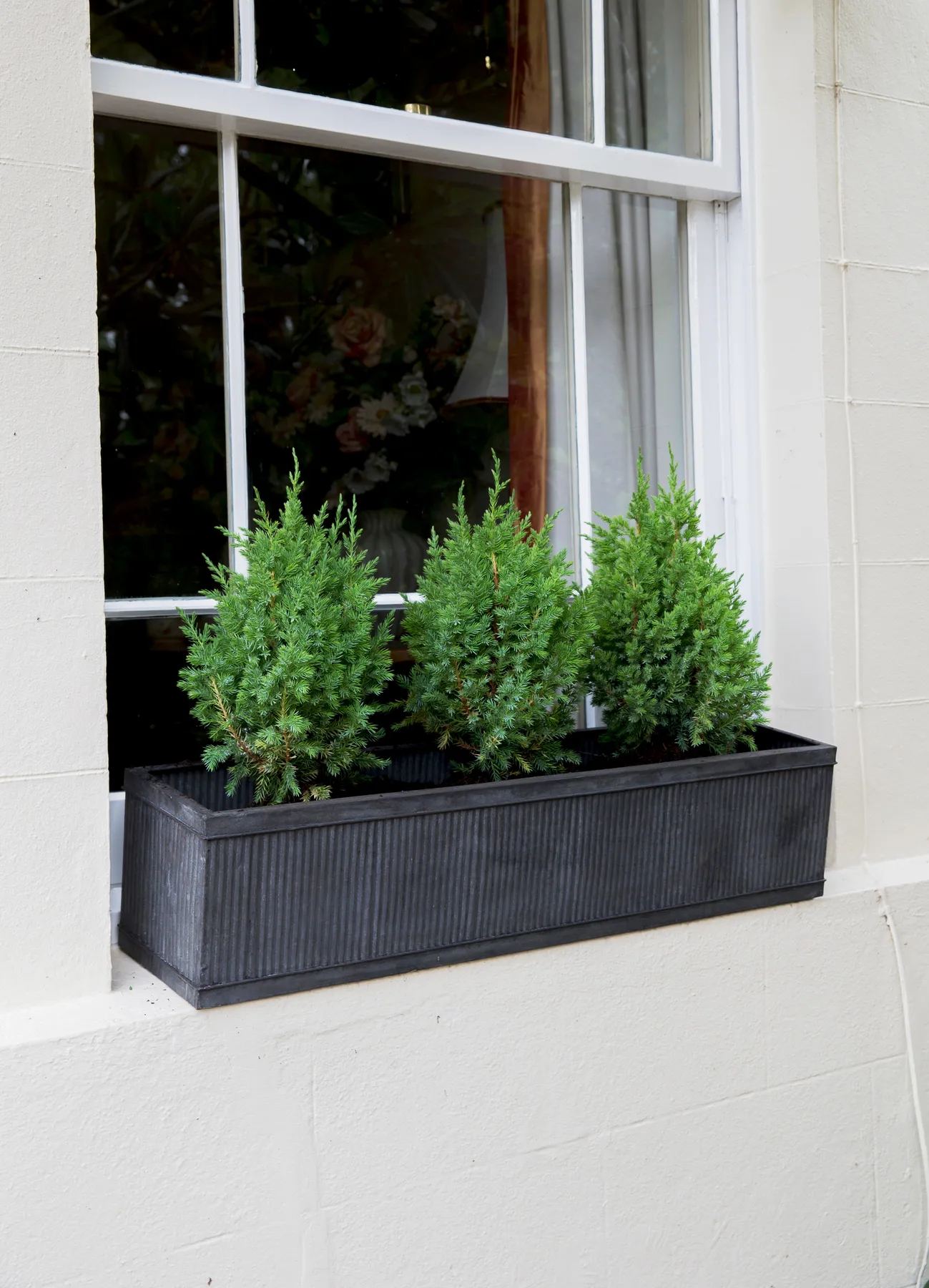Plants For Outdoor Window Trendy Boxes Pretty Planting Advanced Schemes Every Season