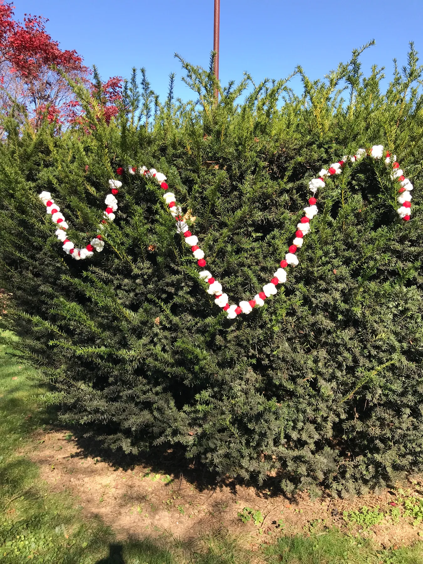 Popcorn and Cranberry Garland - Crochet and Felted - GlowGirl Fibers