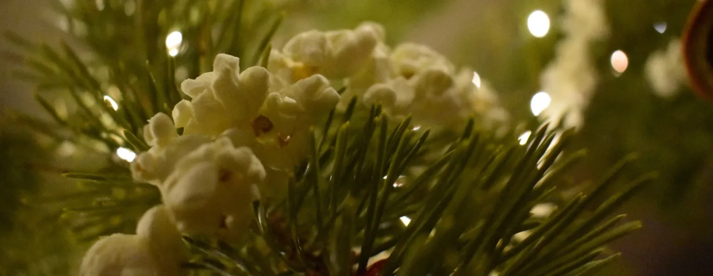 popcorn — My Journal — Note to Trash