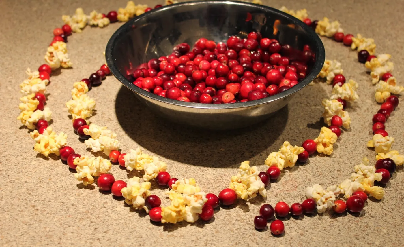 Pudica's Food Corner: Christmas Cranberry-Popcorn Garland