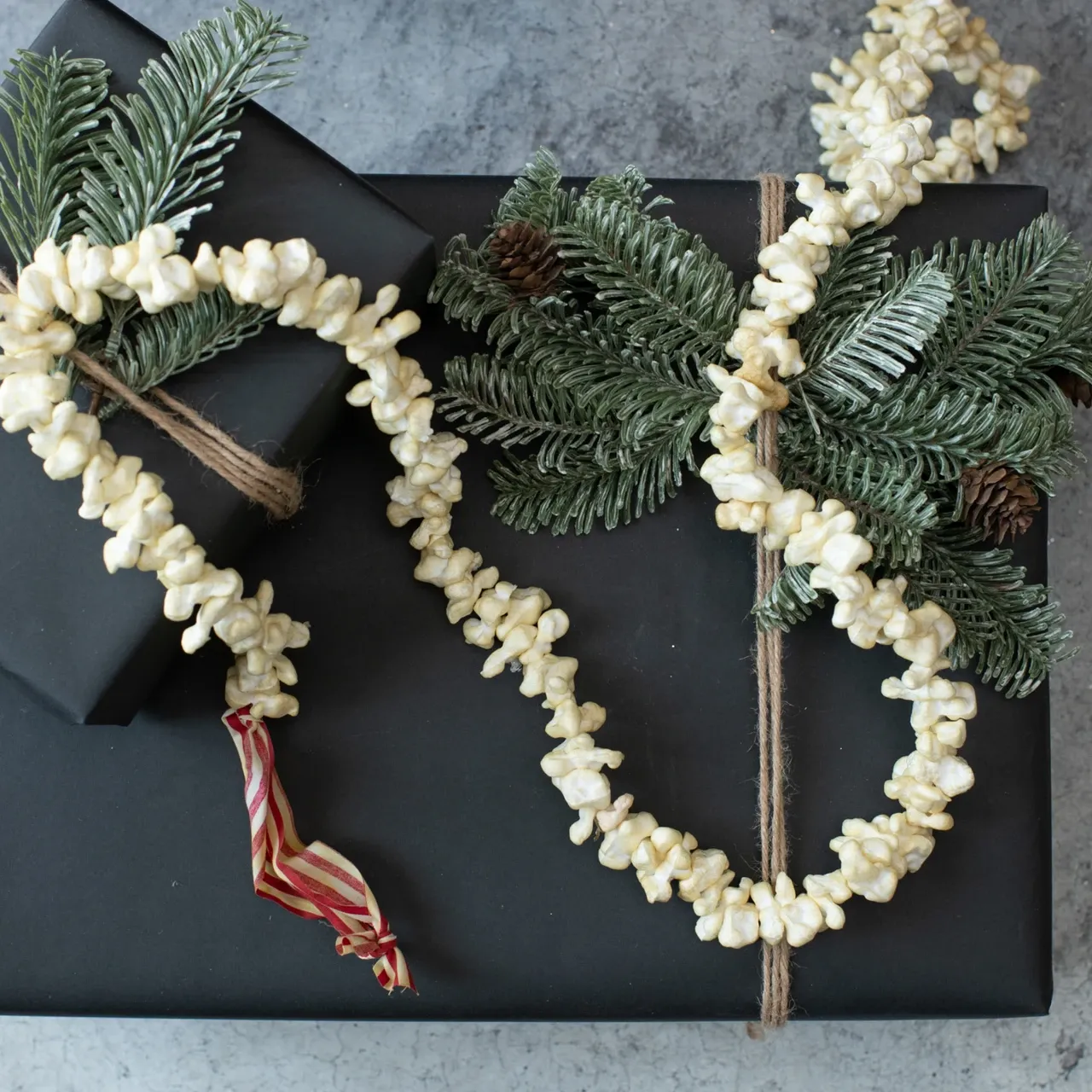 Ragon House | Holiday Collection