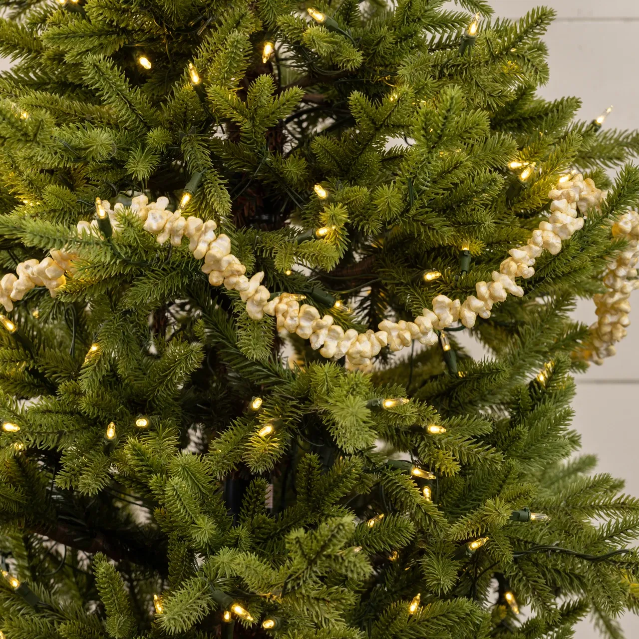 Ragon House | Holiday Collection