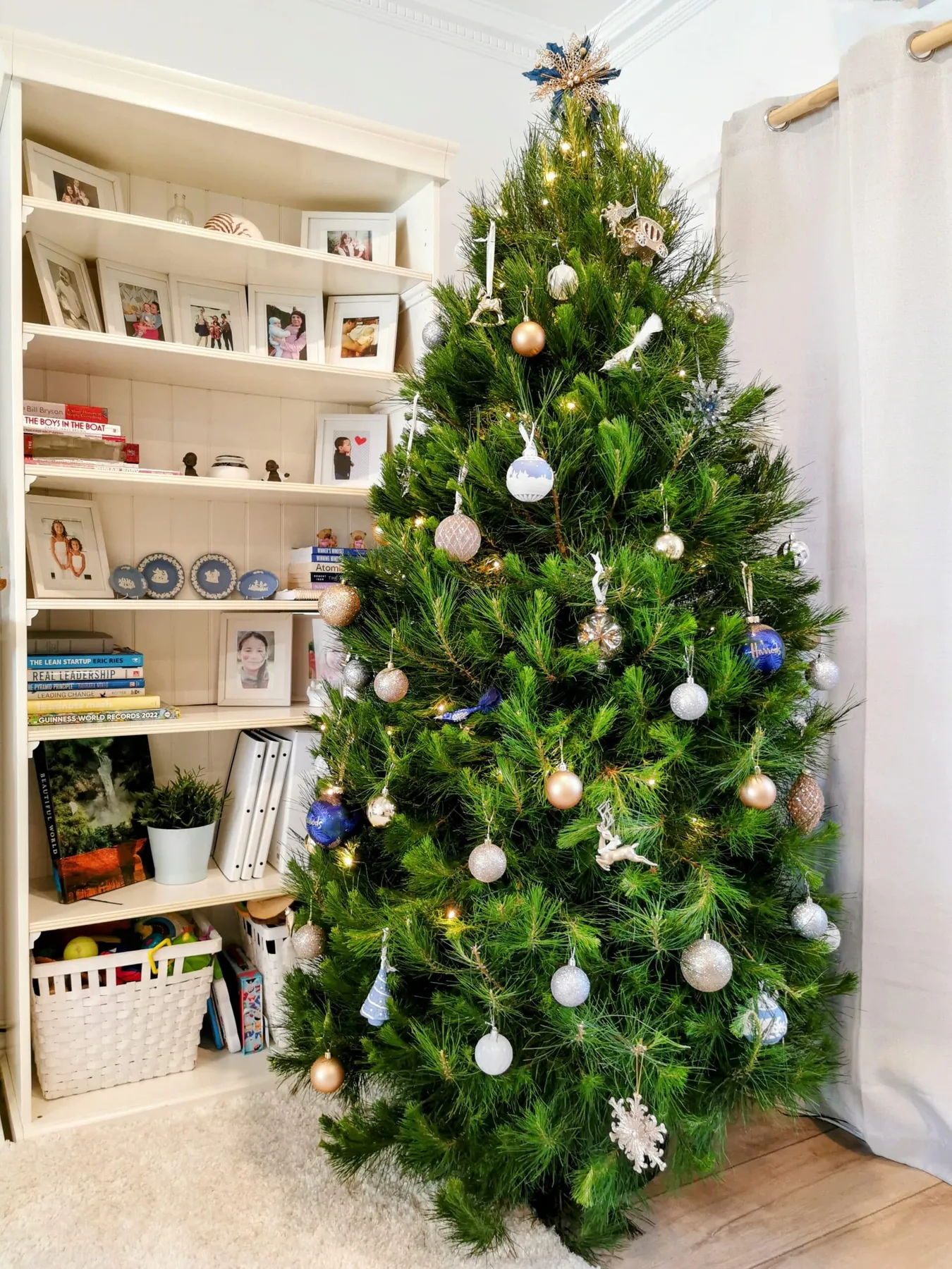 Real 7 Foot Christmas Tree (2.1m) — Free Melbourne Delivery