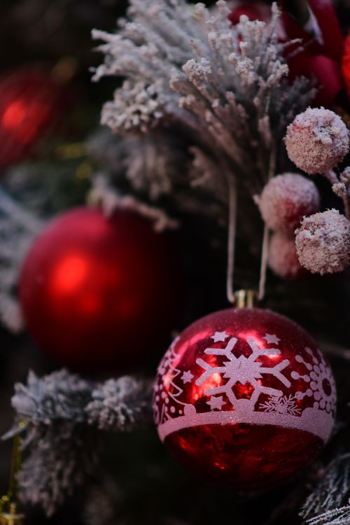 Red Christmas Bauble · Free Stock Photo