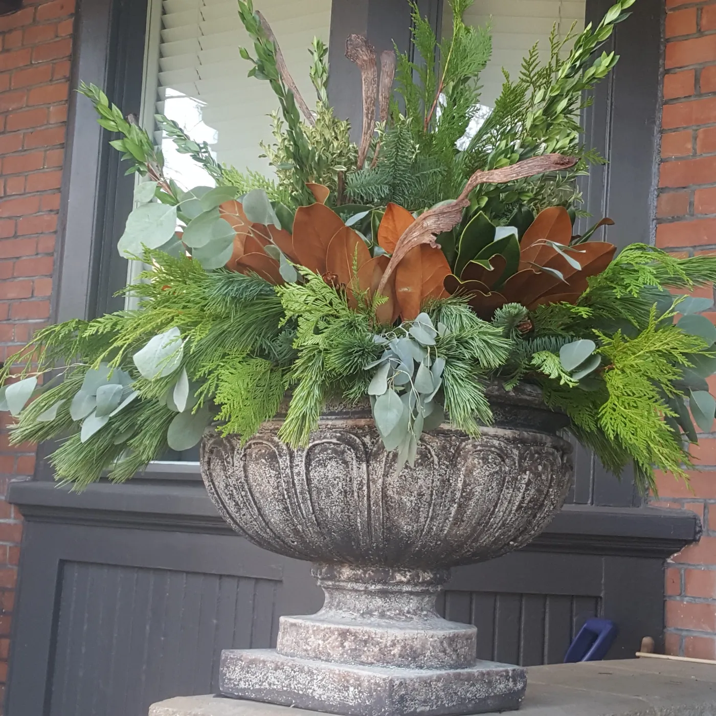 Round Winter Planter – PlantsInTheCity