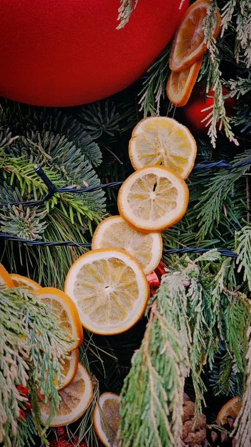 Rustic White Christmas Tree Ornament on Pine · Free Stock Photo