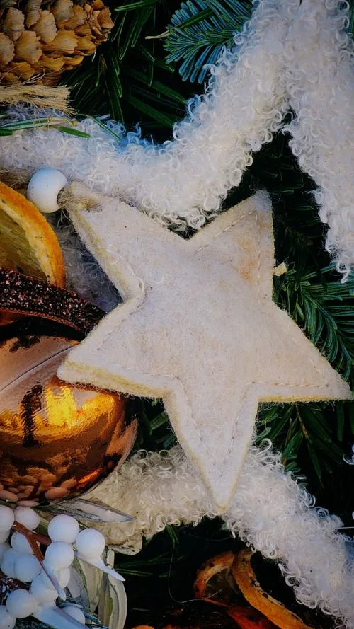 Rustic White Christmas Tree Ornament on Pine · Free Stock Photo