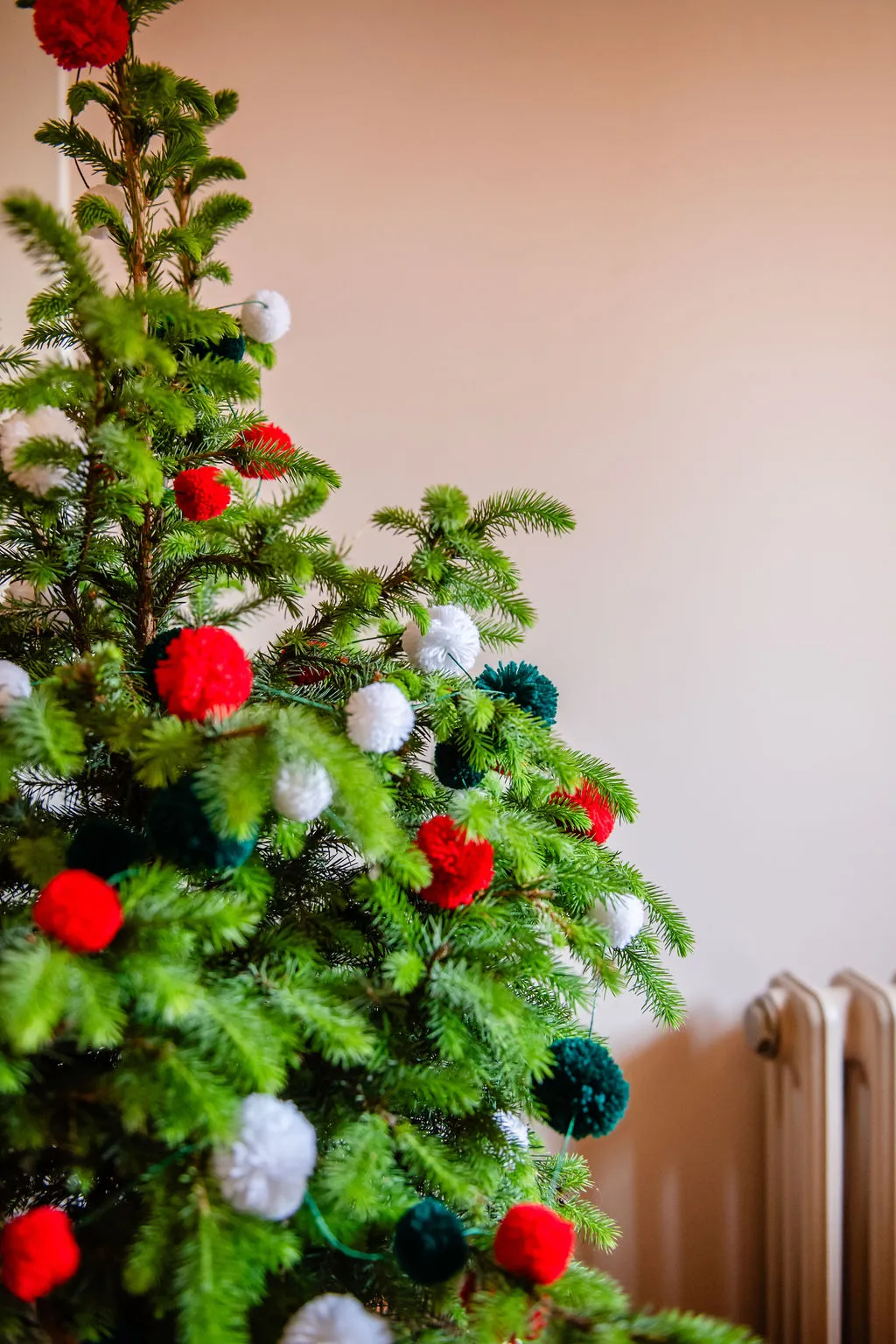Sherbert Pom Pom Garland