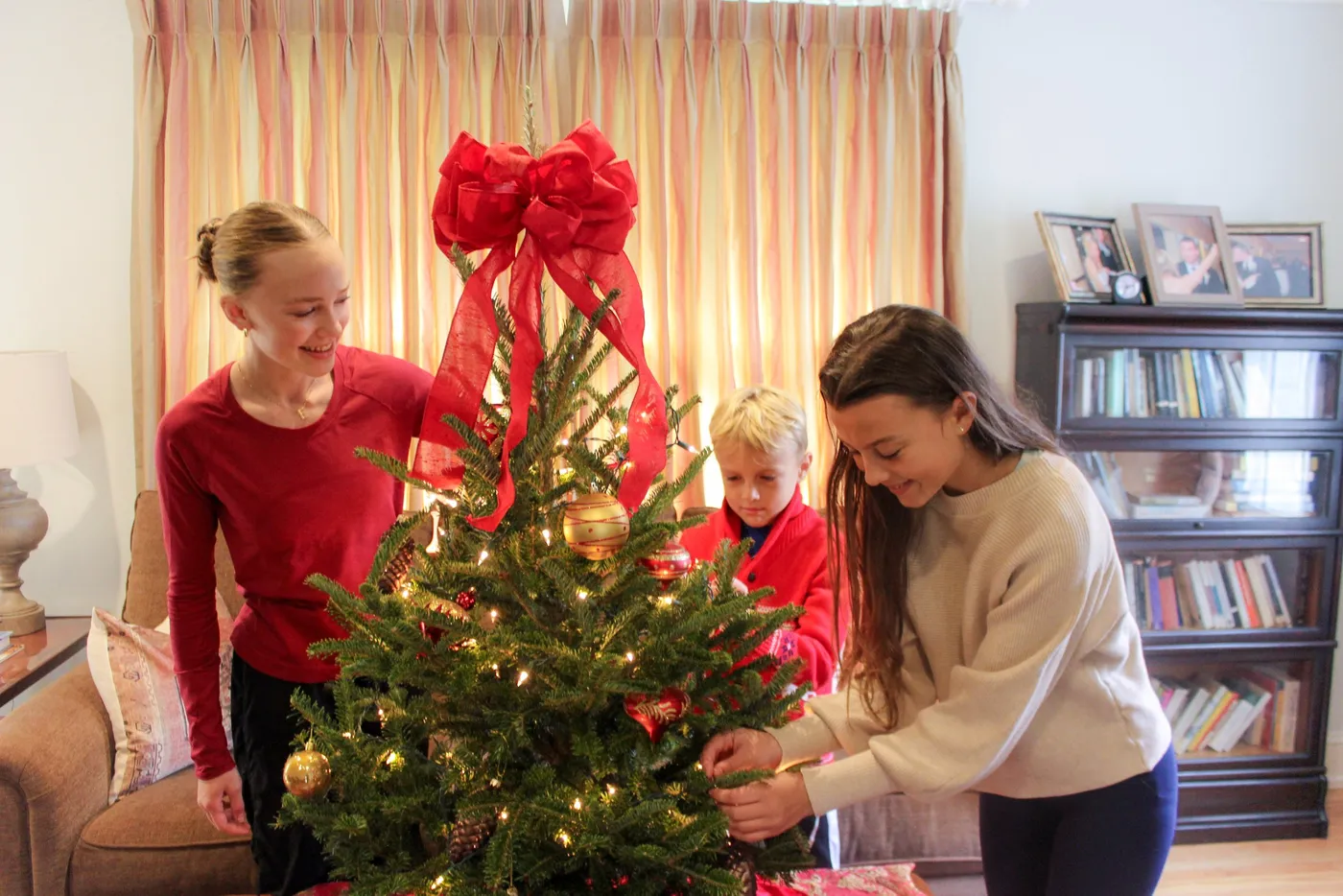 Shop Online — Hart-T-Tree Farms