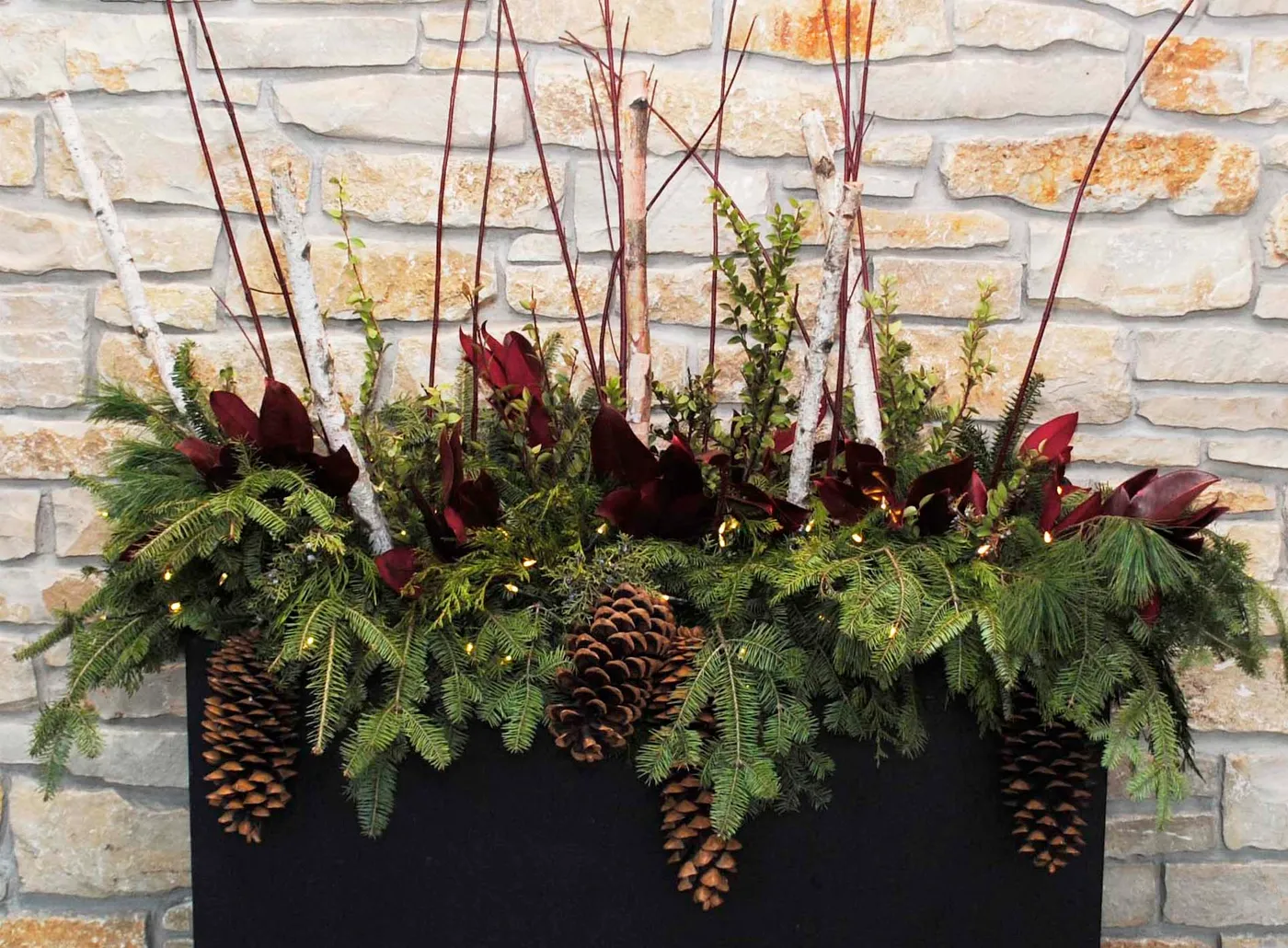 Stunning Winter Planters | Piala's Nursery & Garden Shop