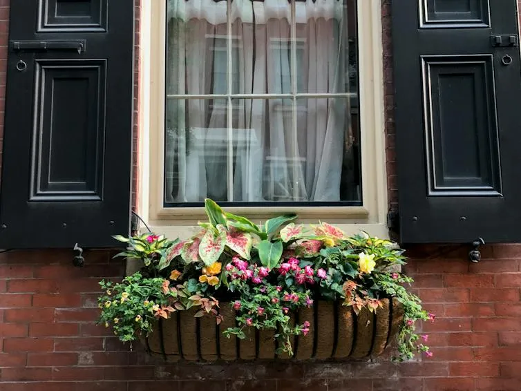 The hidden history of Philadelphia's window-box gardens and their role in urban reform