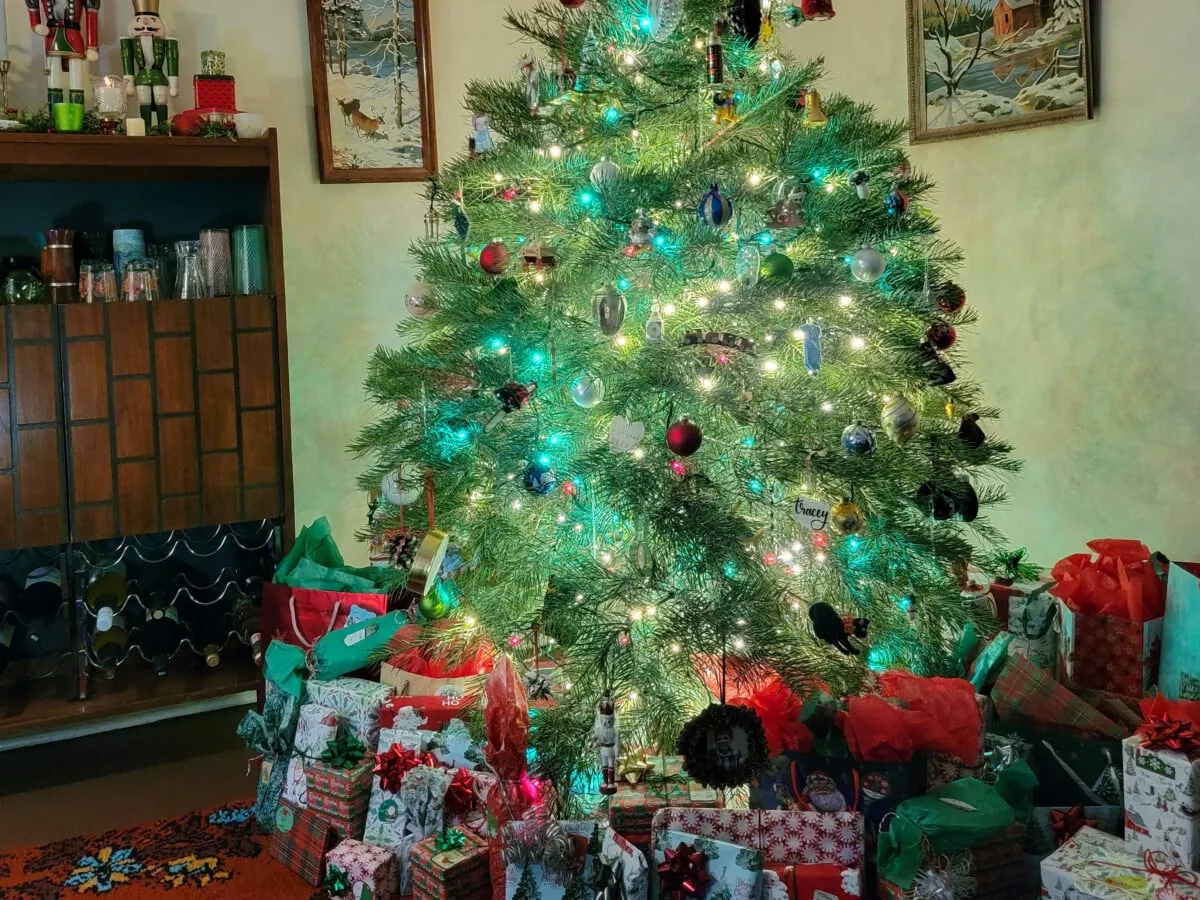 The Secret To Make Your Real Christmas Tree Last All Through The Holidays