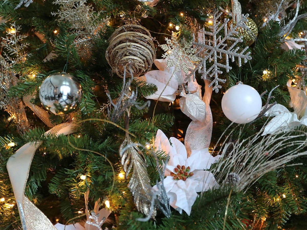 The Smallest Christmas Tree': San Ramon Has Talent | San Ramon, CA Patch