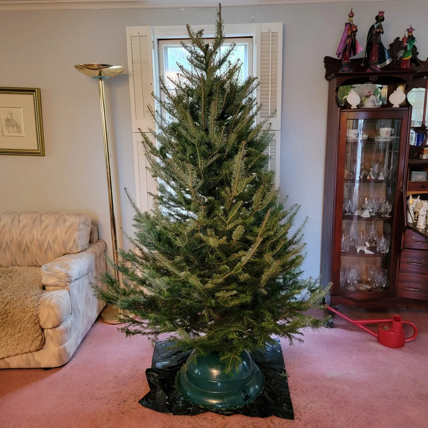 There Are No Ugly Christmas Trees – Gardendaze