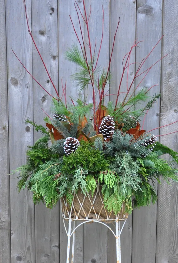 Three Dogs in a Garden: A Little Twist on a Holiday Planter