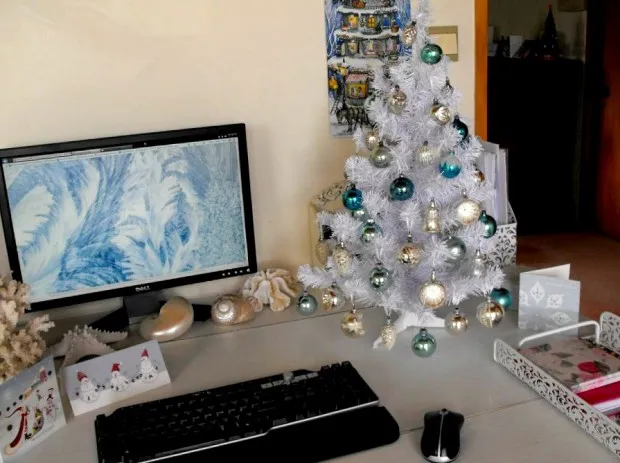 Tiny Christmas Tree On Desk Doing Fuck All For Office Worker's Spirits –  Waterford Whispers News