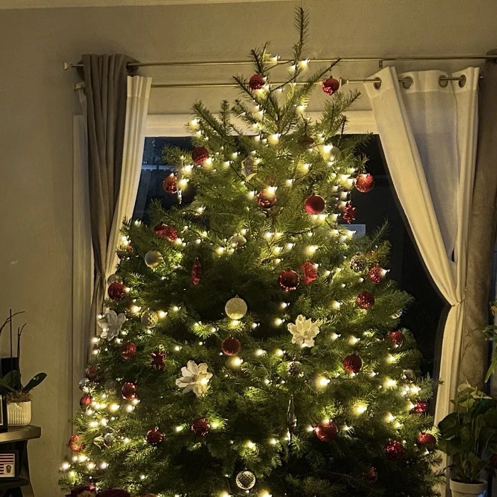 TOP 10 BEST Christmas Tree Farm near Burlingame, CA 94010 - Updated 2026 -  Yelp