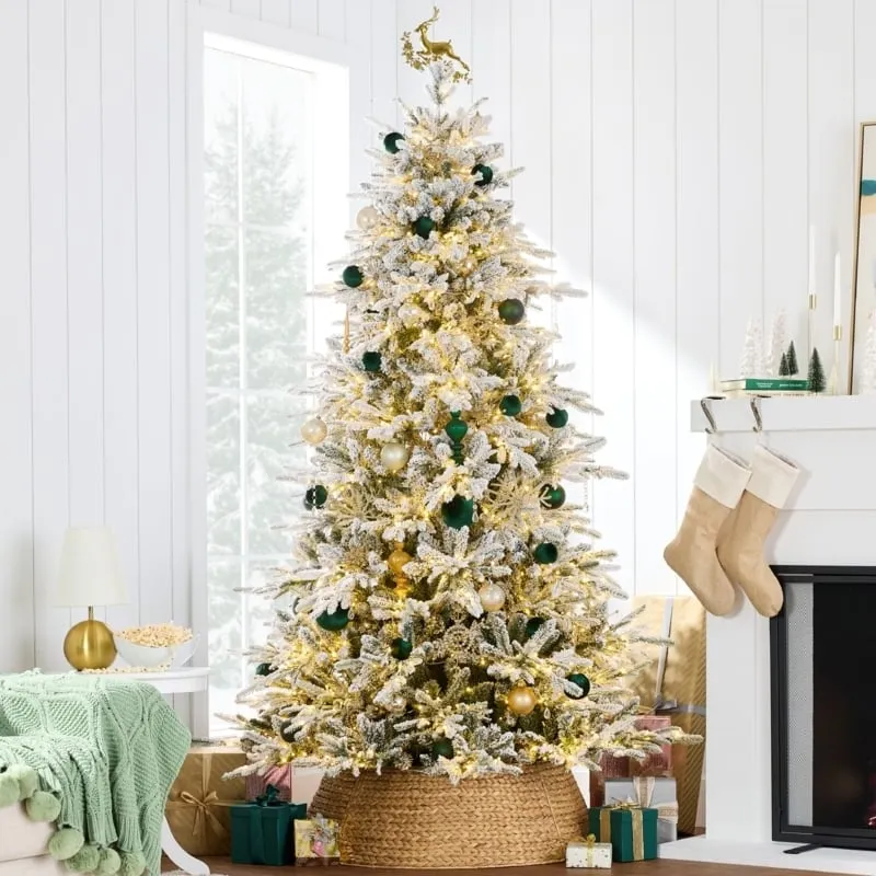 Twinkling Christmas Trees - Designer Picks | Foter