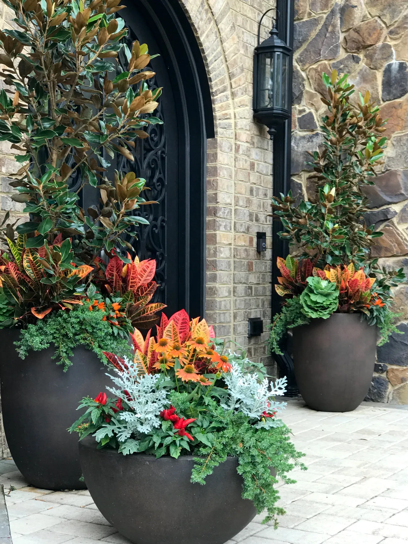 Using Evergreens in Container Gardens — Contained Creations
