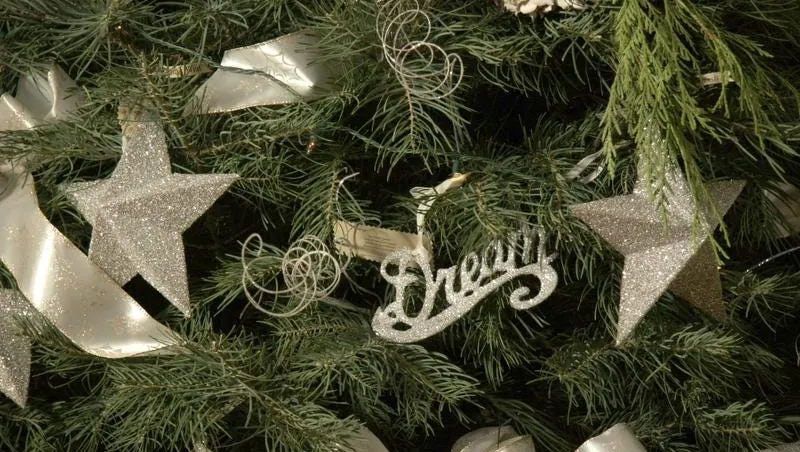Web Essay: Christmas trees have deep roots