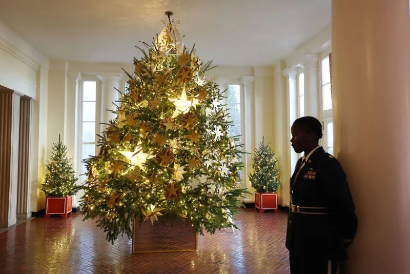 White House Christmas Decorations: Hidden Details You May Have Missed -  Business Insider