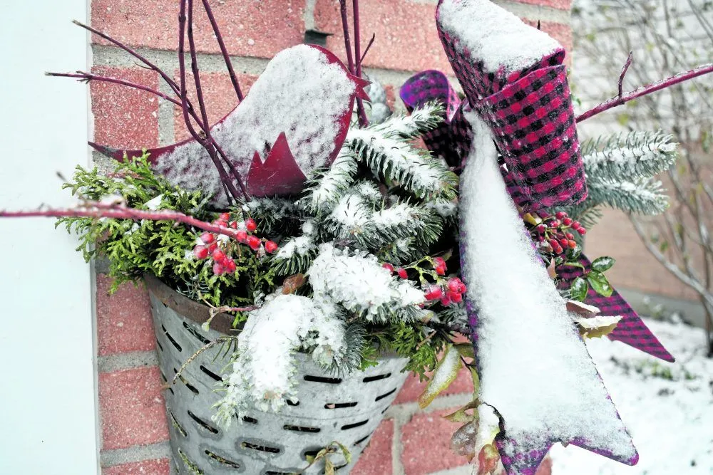Will your Christmas be white, blue - or pink? - London Free Press