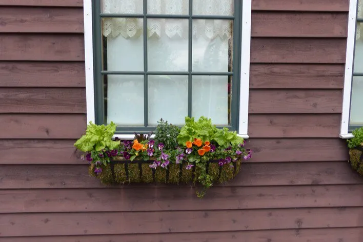 Window Box Ideas for Every Season