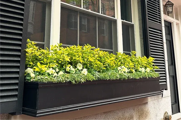 Window Boxes Boston | Custom Design & Installation