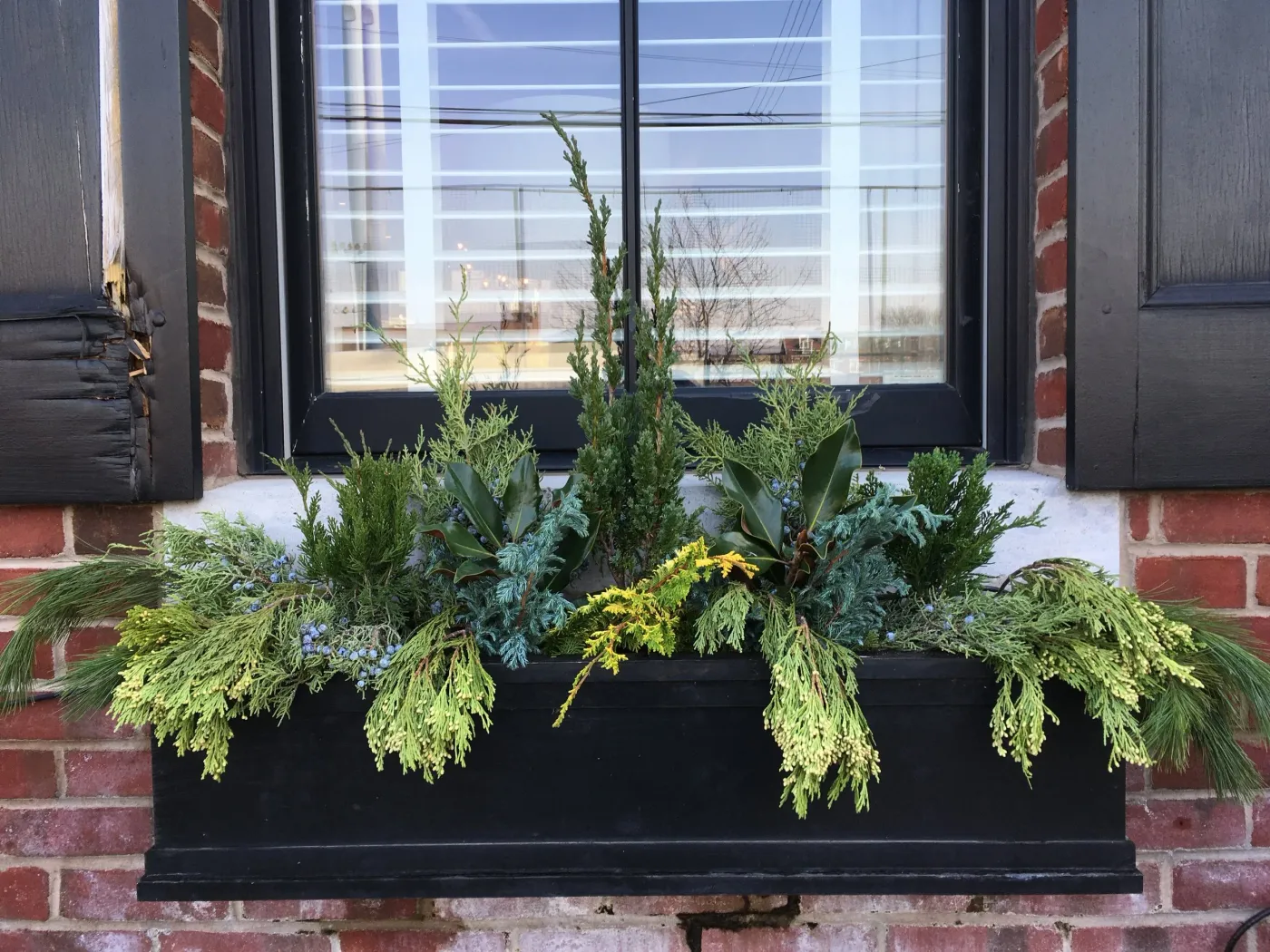Window Boxes β City Planter