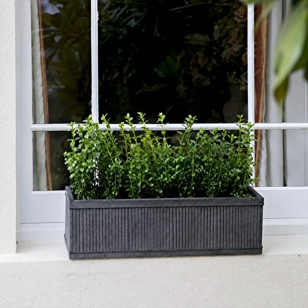 Window Sill Trough Planters for Herbs & Veg – Gardening Naturally