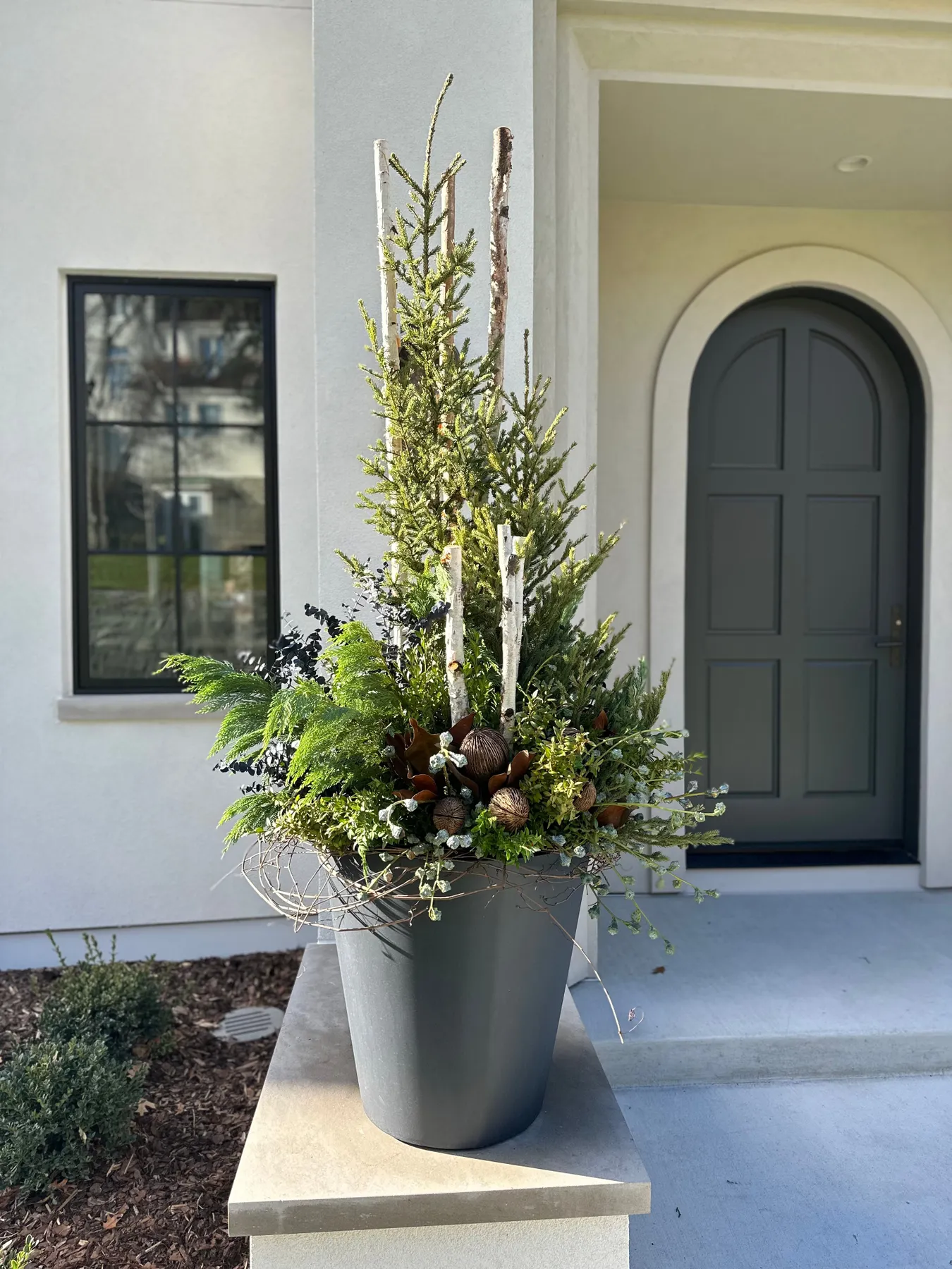 winter – Botanical Endeavors