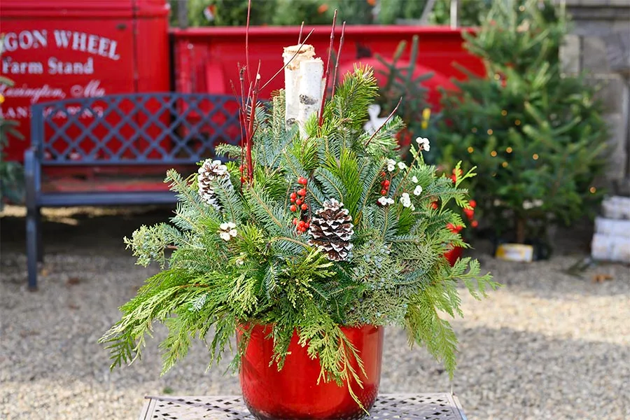 Winter Planter