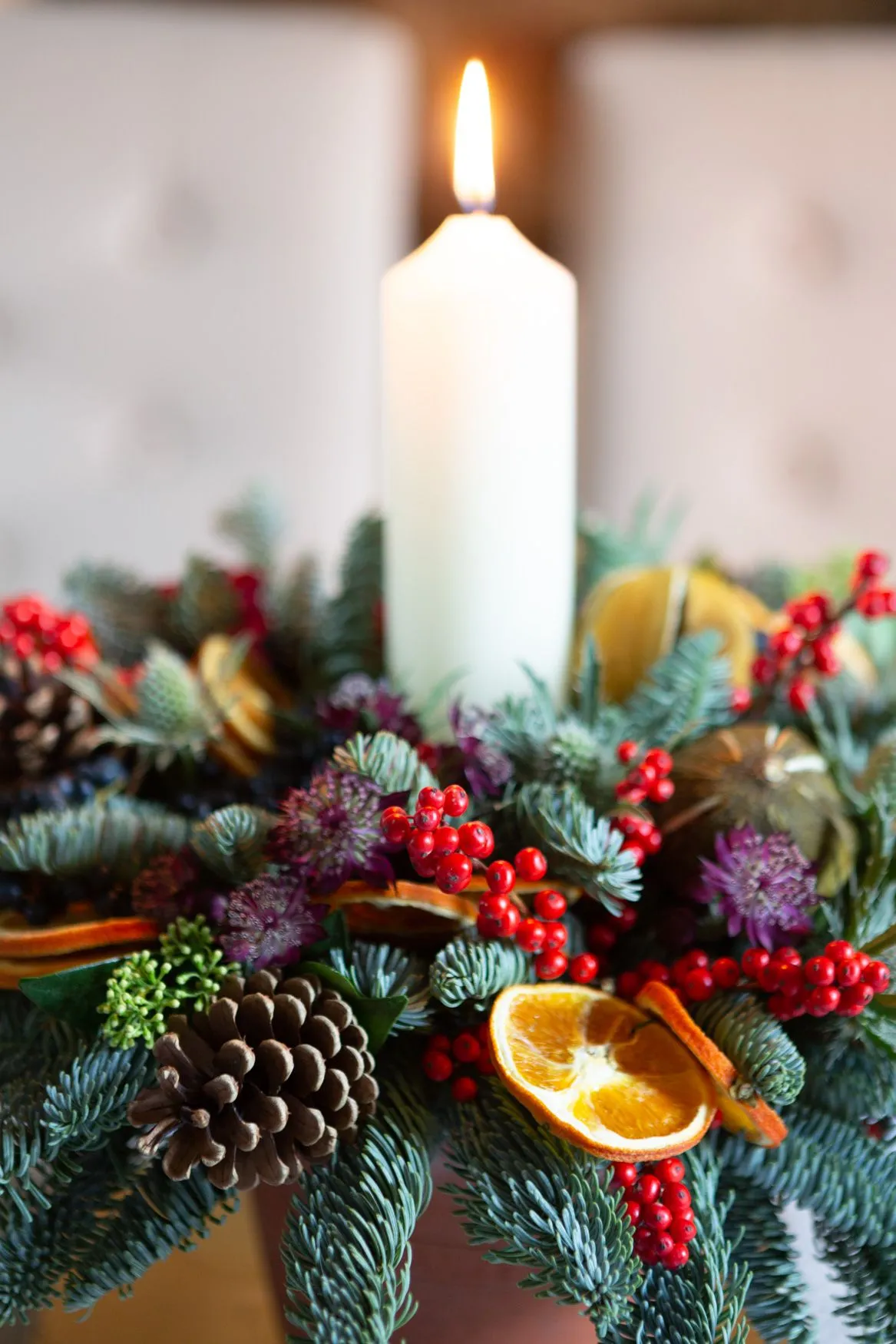 Winter Zest – Emma's Florist