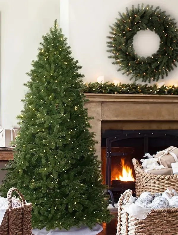 Woodland Spruce™ - Grow Xmas Trees